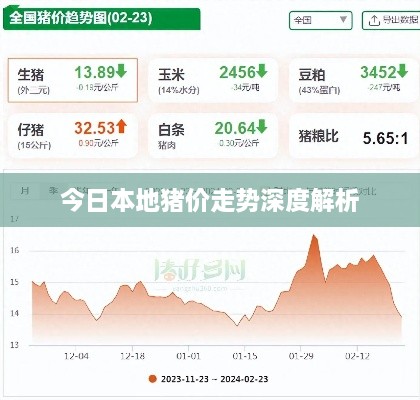 今日本地猪价走势深度解析