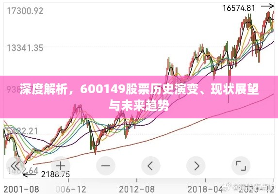 深度解析，600149股票历史演变、现状展望与未来趋势