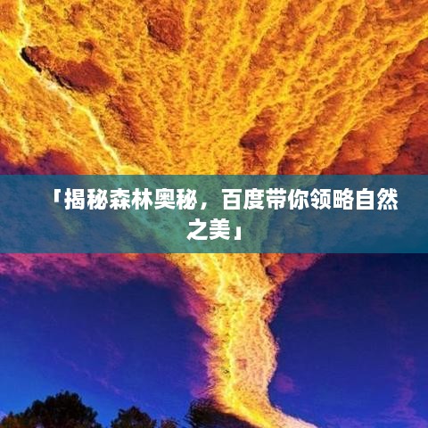 「揭秘森林奥秘，百度带你领略自然之美」