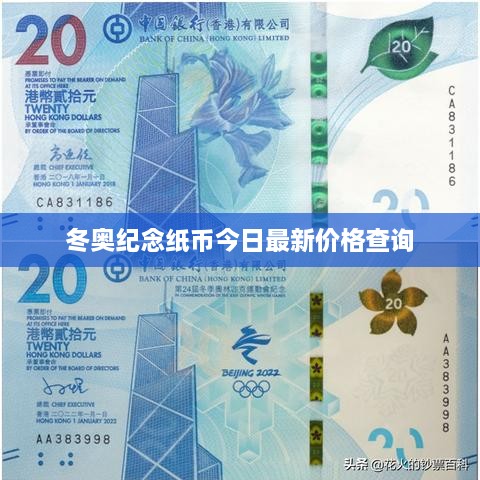 冬奥纪念纸币今日最新价格查询