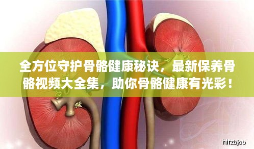 全方位守护骨骼健康秘诀，最新保养骨骼视频大全集，助你骨骼健康有光彩！