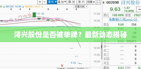 浔兴股份是否被举牌？最新动态揭秘