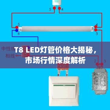 T8 LED灯管价格大揭秘，市场行情深度解析