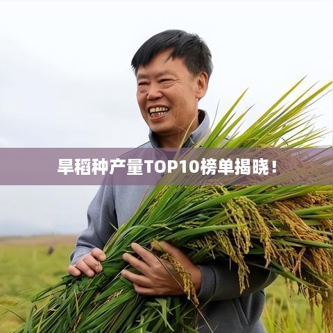 旱稻种产量TOP10榜单揭晓！