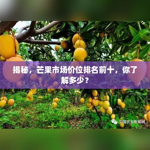 揭秘，芒果市场价位排名前十，你了解多少？