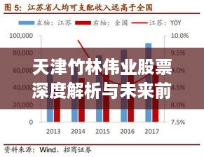 天津竹林伟业股票深度解析与未来前景展望