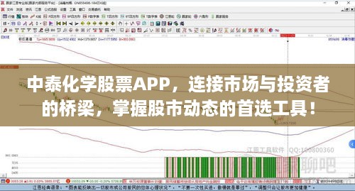 中泰化学股票APP，连接市场与投资者的桥梁，掌握股市动态的首选工具！