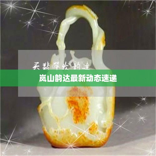 岚山韵达最新动态速递