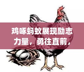 鸡啄蚂蚁展现励志力量，勇往直前，小举动亦能成就大梦想