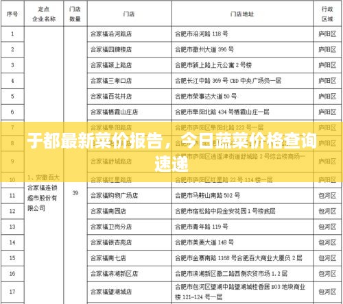 于都最新菜价报告，今日蔬菜价格查询速递