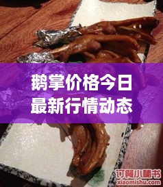 鹅掌价格今日最新行情动态