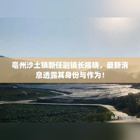 亳州沙土镇新任副镇长揭晓，最新消息透露其身份与作为！