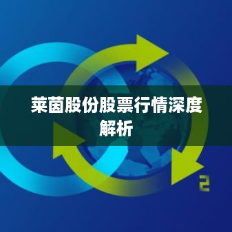 客户案例 第10页