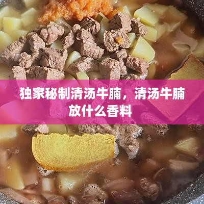 独家秘制清汤牛腩，清汤牛腩放什么香料 