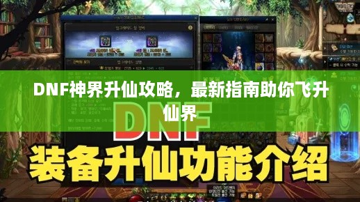 DNF神界升仙攻略，最新指南助你飞升仙界