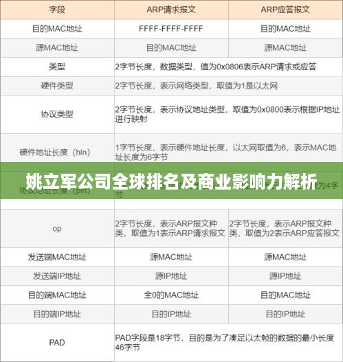 姚立军公司全球排名及商业影响力解析