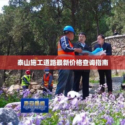 泰山施工道路最新价格查询指南