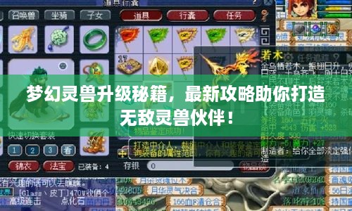 梦幻灵兽升级秘籍，最新攻略助你打造无敌灵兽伙伴！