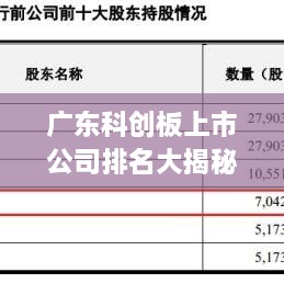 广东科创板上市公司排名大揭秘，影响力深度解析