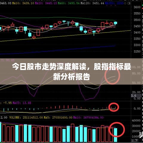 今日股市走势深度解读，股指指标最新分析报告