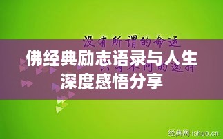 佛经典励志语录与人生深度感悟分享