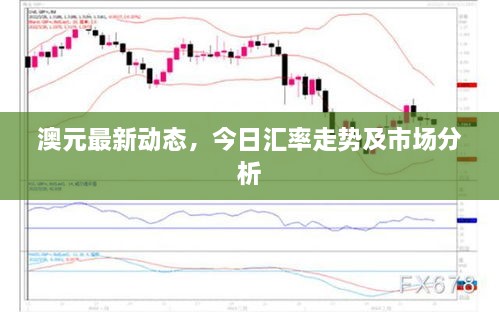 澳元最新动态，今日汇率走势及市场分析