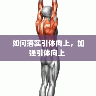 如何落实引体向上，加强引体向上 