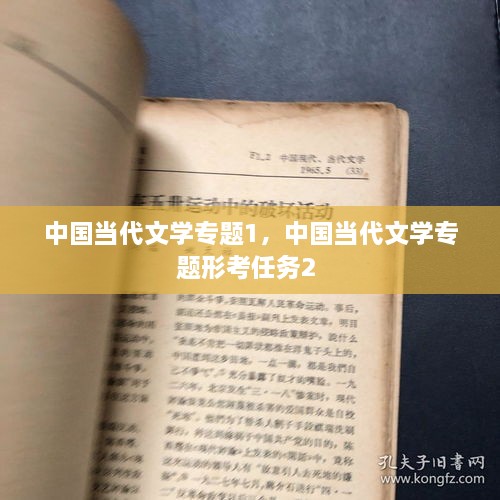 中国当代文学专题1，中国当代文学专题形考任务2 