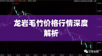 龙岩毛竹价格行情深度解析