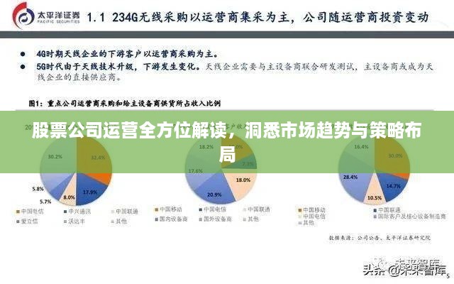 股票公司运营全方位解读，洞悉市场趋势与策略布局