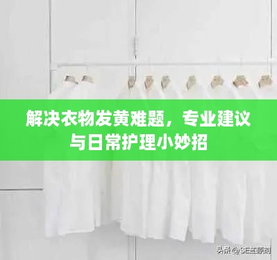 解决衣物发黄难题，专业建议与日常护理小妙招