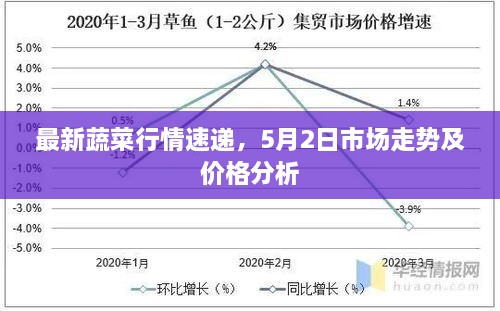 最新蔬菜行情速递，5月2日市场走势及价格分析