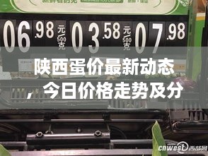 陕西蛋价最新动态，今日价格走势及分析摘要