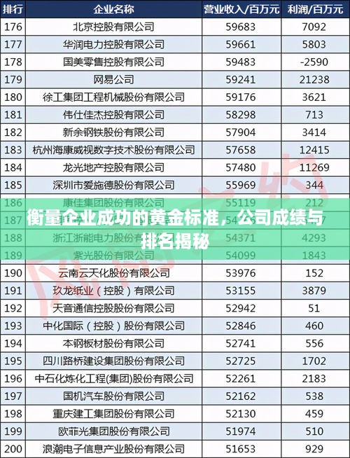 衡量企业成功的黄金标准，公司成绩与排名揭秘