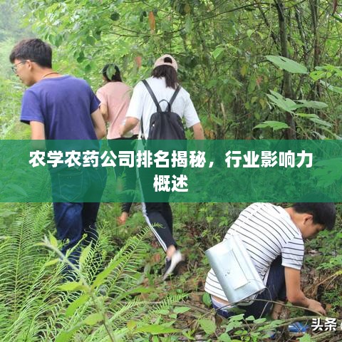 农学农药公司排名揭秘，行业影响力概述