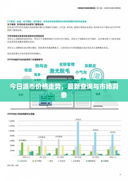 今日派币价格走势，最新查询与市场洞察