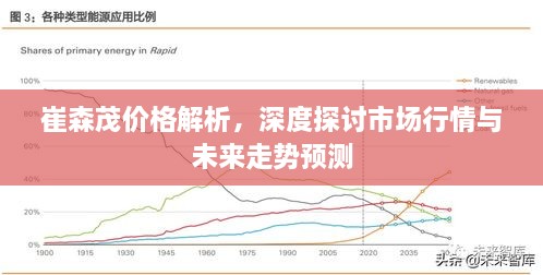 崔森茂价格解析，深度探讨市场行情与未来走势预测