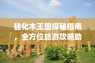 硅化木王国探秘指南，全方位旅游攻略助你畅游胜地！