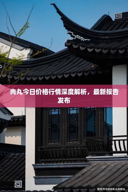 肉丸今日价格行情深度解析，最新报告发布