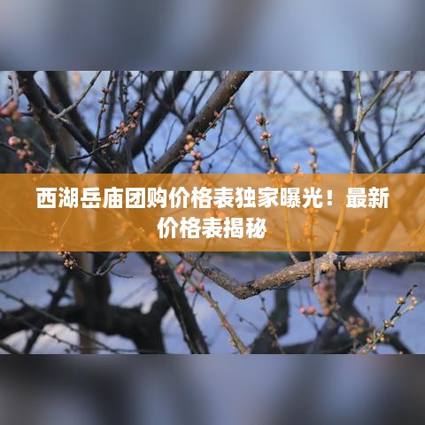 西湖岳庙团购价格表独家曝光！最新价格表揭秘