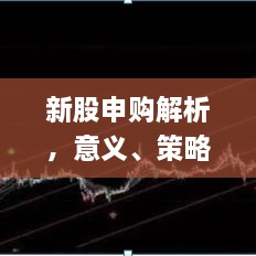 新股申购解析，意义、策略及实战应用