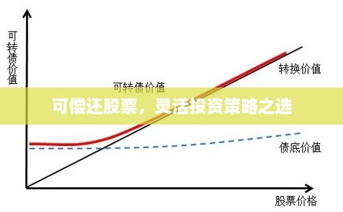 可偿还股票，灵活投资策略之选