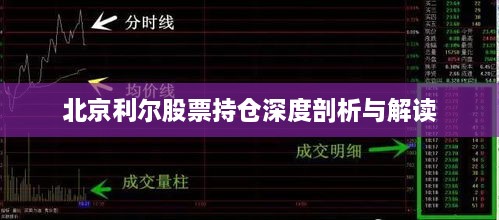 北京利尔股票持仓深度剖析与解读