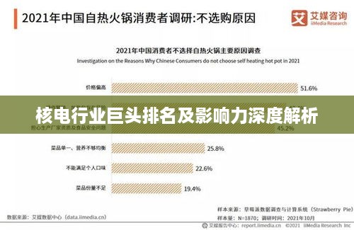 核电行业巨头排名及影响力深度解析