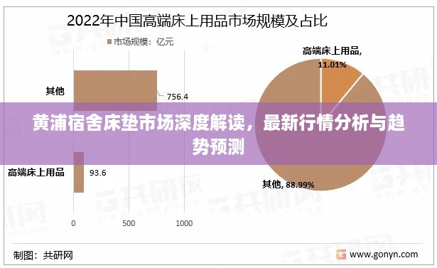 黄浦宿舍床垫市场深度解读，最新行情分析与趋势预测