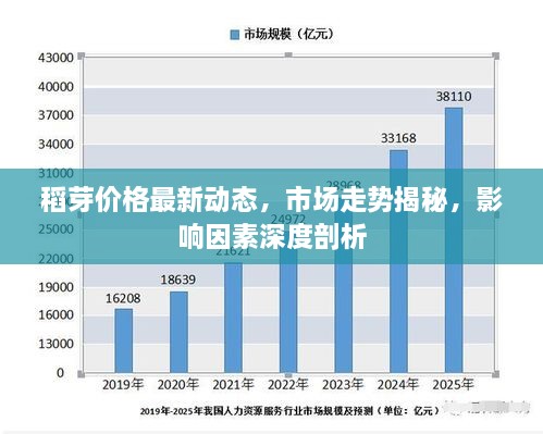 稻芽价格最新动态，市场走势揭秘，影响因素深度剖析