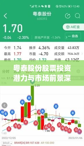 粤泰股份股票投资潜力与市场前景深度解析