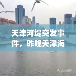 天津河堤突发事件，昨晚天津海河跳河 