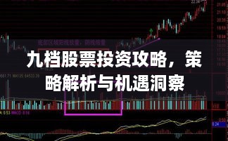 九档股票投资攻略，策略解析与机遇洞察