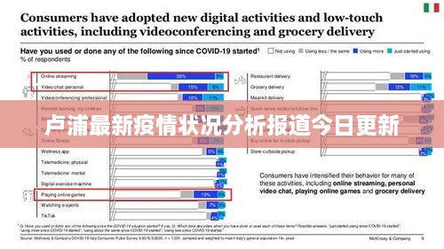 卢浦最新疫情状况分析报道今日更新